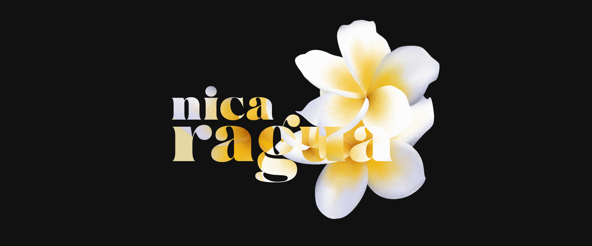 Sacuanjoche flower representing Nicaragua