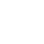 di-nation logo